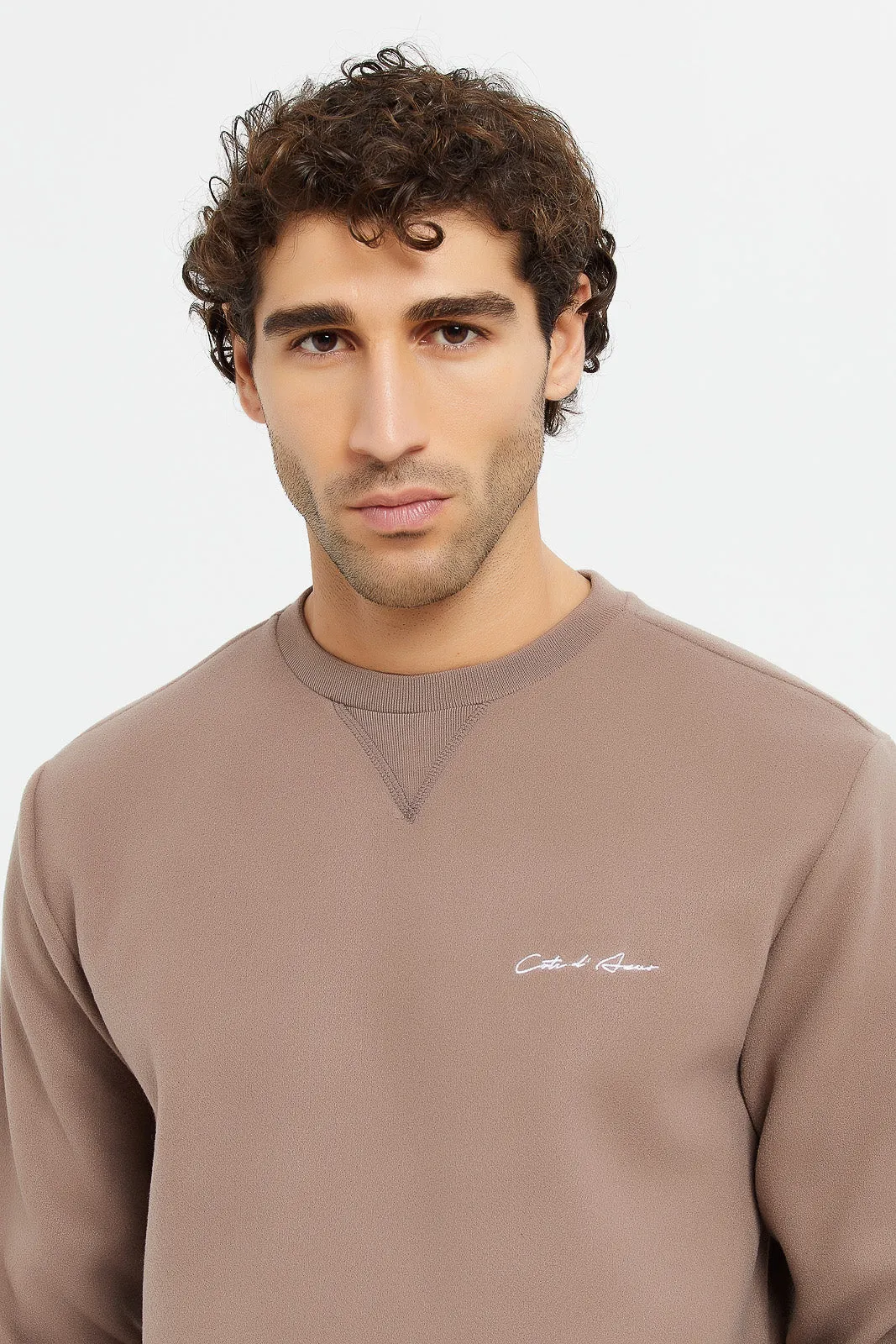 Men Taupe Basic Sweatshirt