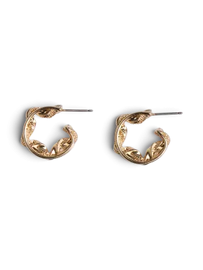 PCNIVE Earrings - Gold Colour